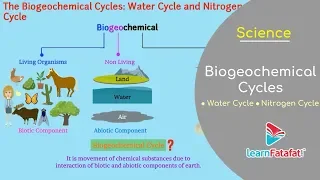 Natural Resources Class 9 Science - The Biogeochemical Cycles - Water Cycle and Nitrogen Cycle