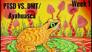 PTSD vs DMT / Ayahuasca Week 1