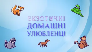 🏝ЕКЗОТИЧНІ ДОМАШНІ УЛЮБЛЕНЦІ