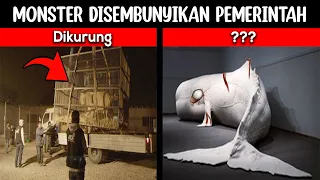 Selama Ini Kita Dibohongi Bahwa Makhluk Aneh dan Misterius Ini Ternyata Disembunyikan Dari Dunia!