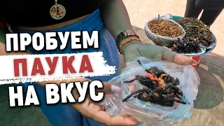 Поездка Сеам Рип.Пробуем жаренного паука и не только Seam Reap trip. Tasting fried spider