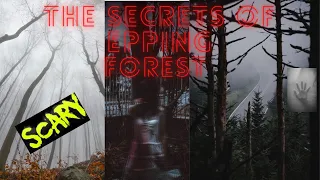 4 Reasons you shouldn't visit Epping Forest at NIGHT! (EP1)