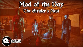 Morrowind Mod of the Day - The Strider's Nest Showcase