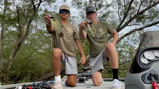 Bass fishing in the Atchafalaya Basin