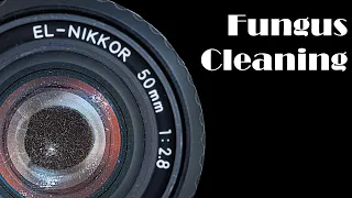 Nikon EL-Nikkor 50mm f/2.8 : fungus removal : Lens repair