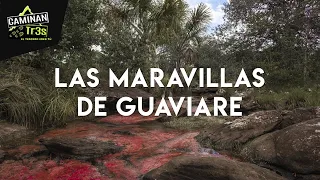 EL MÁGICO RÍO DE COLORES DE GUAVIARE, COLOMBIA || CaminanTr3s, El tercero eres tú!