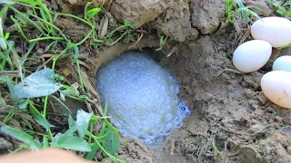 Experiments Chemical Rocks vs Eggs Catch a lot Fish in Underground Hole | CATCHING BIG FISH