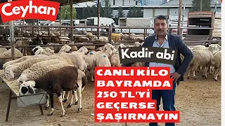 19.04.2024 CEYHAN KÜÇÜKBAŞ HAYVAN PAZARI#kurbanlıkfiyatları#hayvanpazari#keşfet #kuzulukoyun#adak