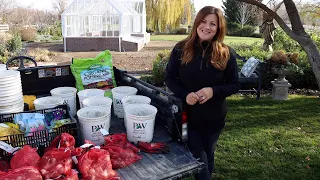 Planting Spring Blooming Bulbs in Containers! 🌷🌷🌷 // Garden Answer