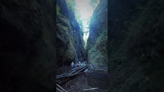 ONEONTA GORGE 2017 the day of the Eagle Creek fire