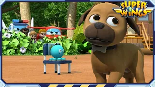 [SUPERWINGS Best] Exciting Animal Tag | Superwings | Super Wings | Best Compilation EP75