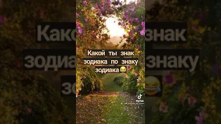 Какой ты знак зодиака по знаку задиака😂