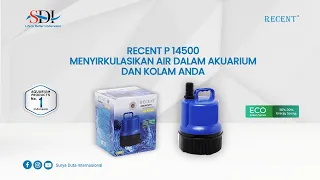 RECENT SUBMERSIBLE PUMP SERIES RC-P14500