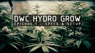DWC Hydroponic Cannabis Grow Ep 1. System Specs & Setup