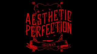 Aesthetic Perfection - Inhuman (Combichrist Remix)