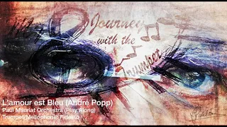 Pure Tunes: L'amour est Bleu (André Popp) - Paul Mauriat Orchestra (Play Along)