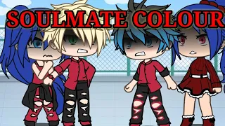 Soulmate colour MEME/ GLMV/ Miraculous The Best/ READ PINNED COMMENT!!