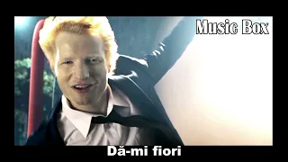 Ed Sheeran - Shivers _ Fiori _ (Versuri în Română)