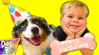 PUPPY’S FIRST BIRTHDAY SURPRISE PARTY! 🎉