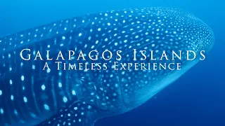 Galapagos Islands: A Timeless Experience