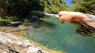 FLY FISHING for BIG Rainbow Trout in New Zealand