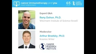 Antibody-Based Therapies: Taking a BiTE Out of Cancer