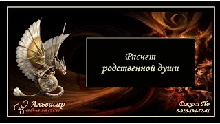 Нумерологический урок от Джули По | Расчет родственных связей