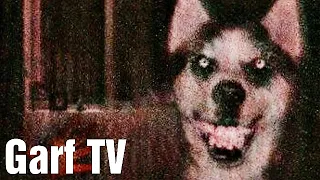 Smile Dog | Horror Short Film | Garf TV