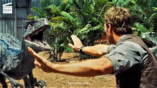 Jurassic World : Faire face aux raptors