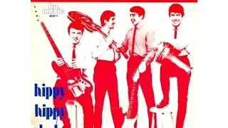 The Swinging Blue Jeans  "Hippy Hippy Shake"  Remixed