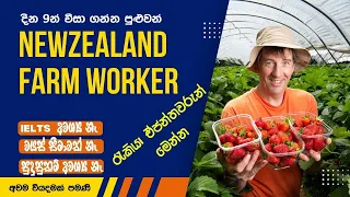 Farm worker jobs in New Zealand II අවම සුදුසුකම් යටතේ නවසීලන්තයට රැකියා 19000ක්