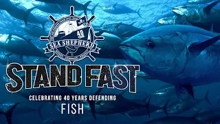 Stand Fast: 40 Years Defending Fish