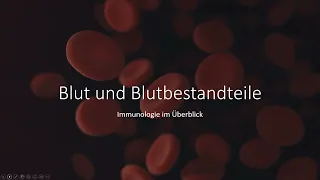 Blut und Blutbestandteile einfach erklärt, Zellen des Blutes, Immunsystem im Überblick Aufgaben Blut