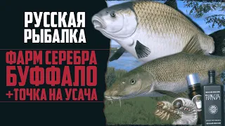 Буффало Опять Раздаёт? | Поиск Трофейного Усача | Река Ахтуба 🔴 Русская Рыбалка 4