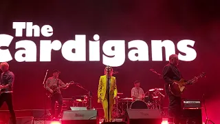 THE CARDIGANS - My favourite game - México 2022