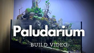 I made a Paludarium! Build Video