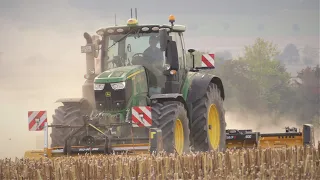 John Deere 6250R im Einsatz | Müthing mu-m 280, mu-m 600/F Mulcher | Sonnenblumen mulchen