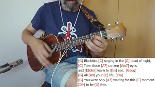 Blackbird - Paul McCartney - The Beatles - Ukulele cover Playalong with chords and lyrics on screen