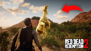 You'll Never Ride Arabian Horses If You Ride This N5 - RDR2