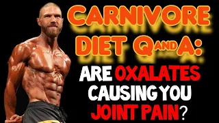 Carnivore Q&A: Are OXALATES Causing Your JOINT PAIN? Posture Matters! Perfect Posture = PAIN FREE!!!