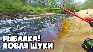 СТОЛЬКО ЩУКИ Я НЕ ОЖИДАЛ УВИДЕТЬ В МИКРОРЕЧКЕ | Ловля щуки на спиннинг!