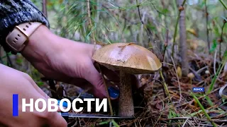 Новостной выпуск в 18:00 от 04.09.21 года. Информационная программа «Якутия 24»