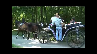 Однообразные мелькают, все с той же болью, дни мои...