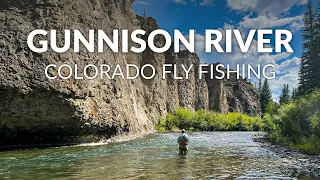 FLY FISHING COLORADO | Beautiful WILD Browns & Rainbows | Gunnison River