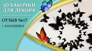 Бабочки для декора! Отзыв 3d-babochki.com