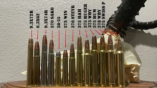 9.3mm & 375 Caliber Cartridges: The Ultimate Guide