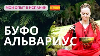 Церемония Буфо Альвариус | Мой опыт в Испании | Alla Zelcer