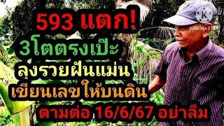 593 แตก! 3โตตรงเป๊ะ ลุงรวยคนฝันแม่น เขียนเลขให้บนดิน ตามต่อ 16/6/67#ห้ามพลาด