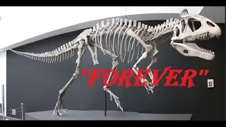 Cryolophosaurus Tribute - Forever