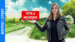 Как зарегистрировать ЛПХ и официально продавать молоко. Вопросы-ответы.